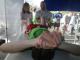Uk�zkov� obr�zek z galerie